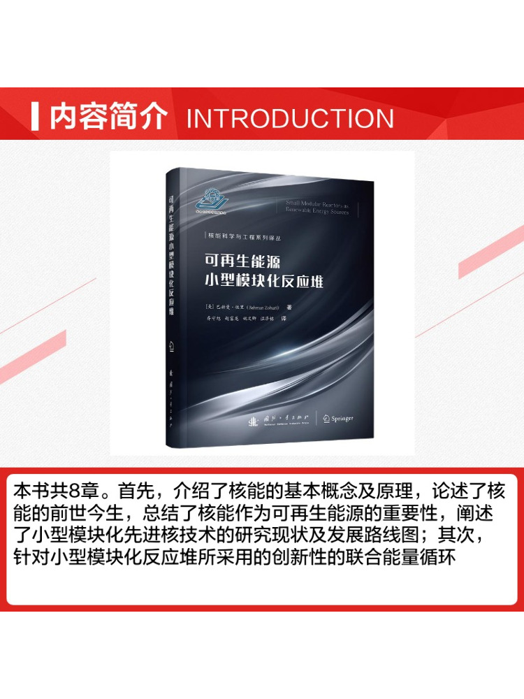 Book-Winshare Piccolo Reattore - Renewable Energy Industry recensione e prezzo