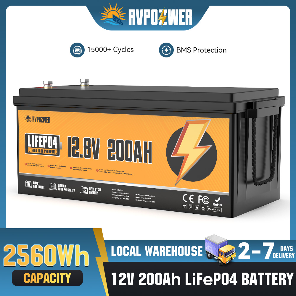 Batteria LiFePO4 per accumulo  - Renewable Energy Source recensione e prezzo